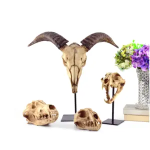 Cổ 3D Nhựa Động Vật Khủng Long Skull Head Mô Hình Trang Trí Nội Thất Châu Âu Điêu Khắc Nghệ Thuật Dân Gian