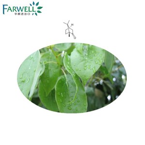 Naturel CAS #76-22-2 Poudre De Camphre Naturel BP, D-camphre - Product Image 2