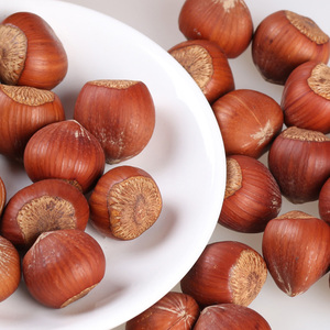 Cinese fornitori di arrosto di nocciola, Cobnut/Dry <span class=keywords><strong>Nocciole</strong></span> per la vendita - Product Image 3
