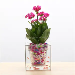 Moderne pot de résine en plastique pots de fleurs pot de poisson plantes Bureau poisson réservoir Transparent De Mode