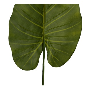 ออกแบบใหม่ Real Touch ดอกไม้ประดิษฐ์ใบ57ซม.ประดิษฐ์ <span class=keywords><strong>Alocasia</strong></span> <span class=keywords><strong>Macrorrhizos</strong></span> ใบสำหรับ Indoor Garden ตกแต่ง - Product Image 3