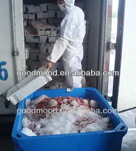 Pescado con caja de hielo aislada de camarón