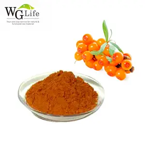 High quality organic natural sea buckthorn powder herbal plant extract