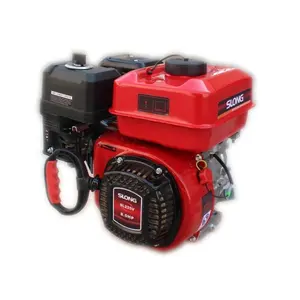 มอเตอร์ Gasolina 196Cc Ohv 6.5Hp 163Cc เครื่องยนต์เบนซิน SL160 5.5Hp สตาร์ทเครื่องยนต์เบนซิน