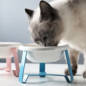 Toptan Özel Yeni Tasarım Pet Seramik Kase Paslanmaz Çelik Stand ile Evcil Hayvan Gıda su kasesi Köpekler ve Kediler için