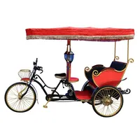 Holland Low Cost Family Cargo 3 Wheel Taxi Bike for Children