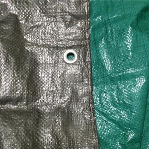 소년과 소녀를위한 코팅 된 HDPE 플라스틱 Harga Terpal Tenda 일반 스타일 미터 당 - Product Image 5