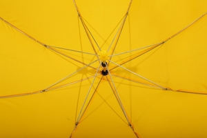 Proveedor Chino amarillo invertido lluvia perro diseño paraguas - Product Image 4