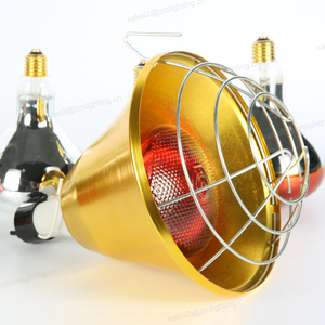 Portable 110v/220v 50hz <strong>Chick</strong> Infrared <strong>Heating</strong> <strong>Lamp</strong> 100w 250w 350w 500w - Product Image 6