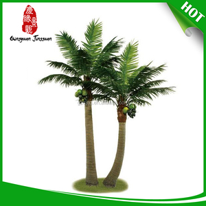 nhà máy sản xuất cửa hàng <span class=keywords><strong>robellini</strong></span> cây cọ - Product Image 1