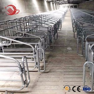Il tubo d'acciaio della fabbrica ha usato il <span class=keywords><strong>recinto</strong></span> del <span class=keywords><strong>maiale</strong></span> dell'attrezzatura agricola delle scrofe della cassa di parto del <span class=keywords><strong>maiale</strong></span> - Product Image 4