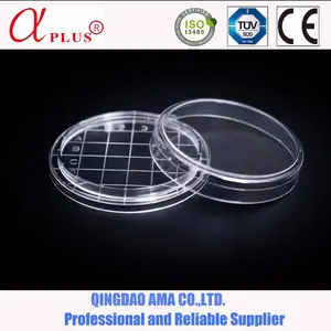 Disposable Sterile Contact 55/65mm Petri Culture Dish For Lab 60mm Plastic Petridish With Grid