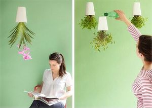 2016 Sky Planter <span class=keywords><strong>maceta</strong></span> decorativa planta de <span class=keywords><strong>maceta</strong></span>, de Color brillante <span class=keywords><strong>maceta</strong></span>, barato plástico macetas - Product Image 3