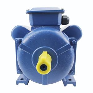 YL100L1-4 2.2KW 3HP 고효율 단상 수직 전기 비동기 모터 - Product Image 4