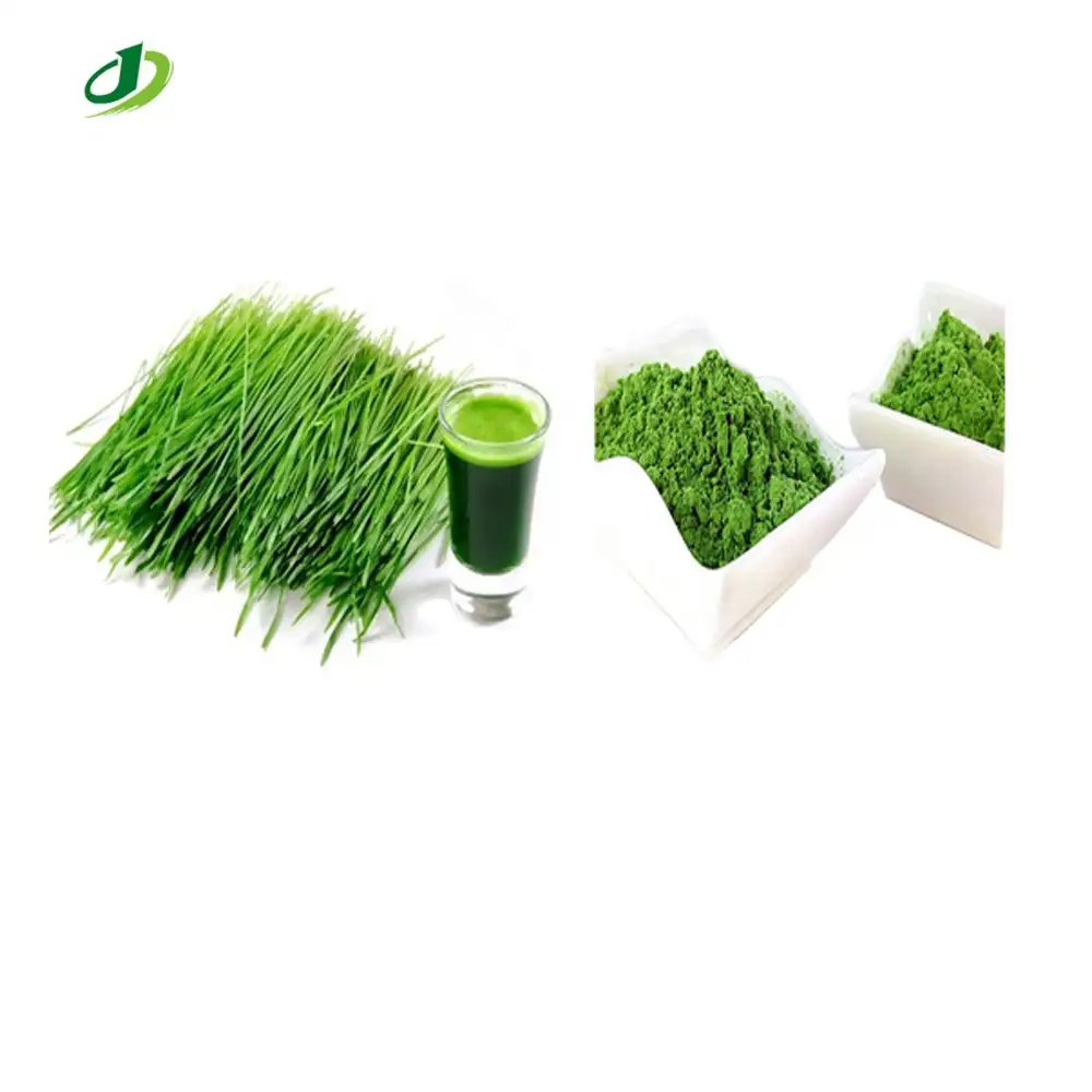 Hot Sale barley grass leaf juice extract powder barley leaves powder barley malt extract powder