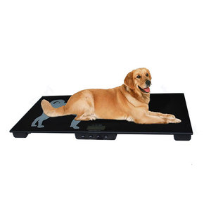 10g/30kg 양 고정밀 디지털 플랫폼 스케일 동물 저울 - Product Image 2