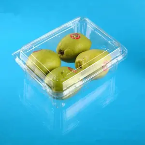 Disposable Clamshell Rectangle Plastic Fruit Box Clear Transparent Pear Tomato Fruit Packaging Container Food Grade