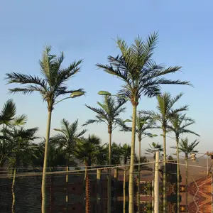 Гуанчжоу SJ Феникс канарский пальмы/искусственный сталь стекловолокна финиковой пальмы