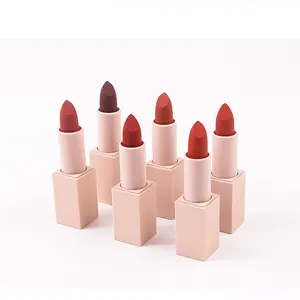 Rossetto rosa quadrato con rossetto personalizzato in velluto opaco in plastica impermeabile con rossetto per trucco con etichetta privata