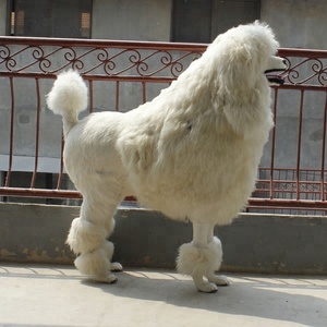 <span class=keywords><strong>Vie</strong></span> Taille Blanc Caniche Animaux Mannequin Chien Mannequin Pour L'affichage de La Fenêtre Partie Décoration Et Cadeaux - Product Image 6