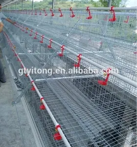 Animal cages 3 rows 3 tiers 4 tiers Ladder type A Layer cage system