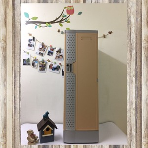 Extra Large ABS Plastic Locker with combination lock - Product Image 4