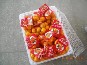 Mandarin Fresh Mandarin Orange From China