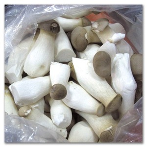 Detan Frais <span class=keywords><strong>Pleurotus</strong></span> <span class=keywords><strong>Eryngii</strong></span> Champignons - Product Image 5