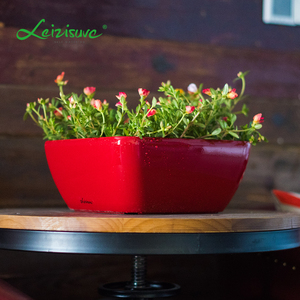Home ornamental indoor table office desk decorative bonsai shallow herb pots planter flowerpot plastic succulent plant pot
