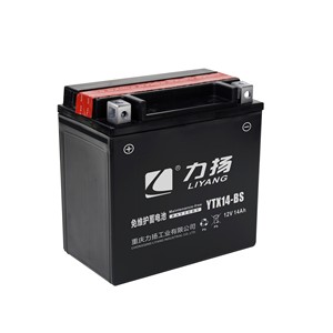 Denel batteries au plomb SMF <span class=keywords><strong>12v</strong></span> <span class=keywords><strong>12ah</strong></span> <span class=keywords><strong>YTX14</strong></span>-<span class=keywords><strong>BS</strong></span> sans entretien gel moto batterie batterie batterie de moteur de moto - Product Image 4