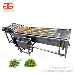 Venta caliente espinacas tomate fechas brotes limpiador lechuga pimienta manzana zanahoria limpieza frutas vegetales lavadora - Product Image 3