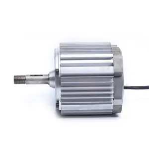 Yüksek hız 5000rpm 10000 rpm 850w 150w 1000w 48v 3 faz fırçasız dc motor hint elektrikli