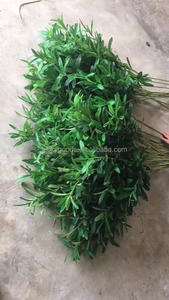 LLV107 banchetto di nozze occasione conserve di plastica argento ramo verde oliva all'ingrosso - Product Image 5