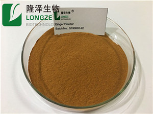 Longze食品グレードのジンジャー濃縮粉末ジンジャーエキスパウダー - Product Image 3