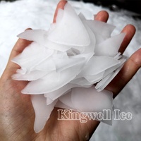 Máquina para hacer hielo en escamas