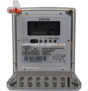 Professional Custom Top Quality Sts Two Phase And Three Wires Smart Electricity Meter For Ecuador