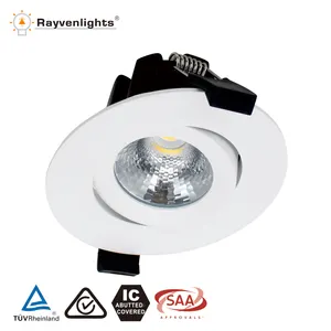 SAA 高流明 Dimmable10 W LED COB 筒灯