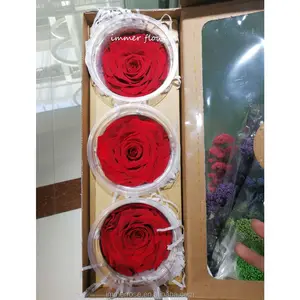 7 to 8 Long Life Roses Never Withered Rose Permanent Flowers On Sale
