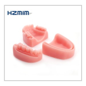Modèle anatomique dentaire humain, coussin d'entraînement dentaire pour la pratique de la suture, en PVC et silicone - Product Image 5