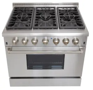 Stainless Steel High End Mobile Gas Range