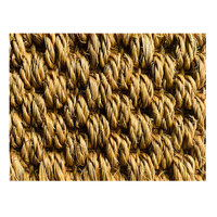 Tapis en sisal ignifuge avec bordure noire, facile à nettoyer, tapis ignifuge en sisal