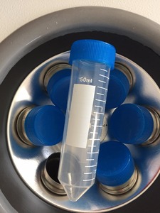 Zenitlab 80-1/80-2/90-1/LXG-A Klinische Laboratoriumcentrifuge Met Lage Snelheid 2325xg Max Rcf 110V/220V Compatibel Voor Medisch Gebruik - Product Image 5