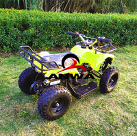 2019 nouveau 49cc Poche Mini ATV Quad 50cc Essence Essence 2 Temps Vélo Pour Les Enfants