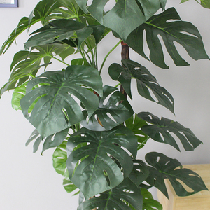 Sempreverde <span class=keywords><strong>di</strong></span> alta Simulazione Artificiale Monstera Deliciosa Piante <span class=keywords><strong>di</strong></span> Corteccia <span class=keywords><strong>di</strong></span> Albero con il Nero Vaso <span class=keywords><strong>di</strong></span> Plastica per La Casa e Giardino Decorazione - Product Image 4