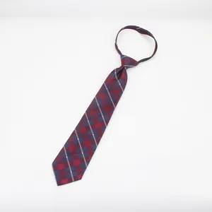 Üretici toptan erkek Polyester sıska fermuar bağları Mens için % 100% Polyester kravatlar