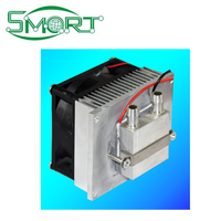 Kit de réfrigération semi-conducteur Peltier DIY pour électronique intelligente, climatisation à eau, réfrigérateur électronique 12V, dissipateur CPU