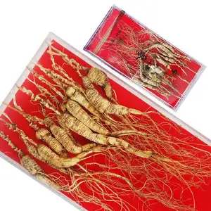 Wild Ginseng