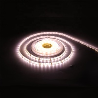 Bande lumineuse led flexible, smd 2835led, étanche IP20/IP65, blanc chaud/blanc froid, 5m/rouleau, 5w 10w 14.4w, dc 12/24V