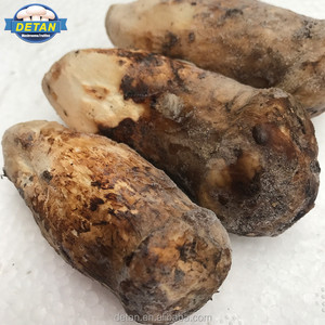 Detan precios de mercado de <span class=keywords><strong>tricholoma</strong></span> <span class=keywords><strong>matsutake</strong></span> setas compradores - Product Image 1