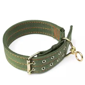 Collari Robusti in Tela Verde Scuro per <span class=keywords><strong>Cani</strong></span> di Taglia Grande <span class=keywords><strong>Pitbull</strong></span> - Product Image 1